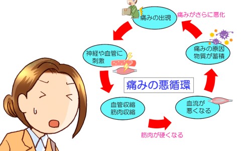 【菠萝皮的制作方法】菠萝带皮的吃法有哪些 - 菠萝带皮的吃法网