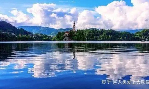 【菠萝皮的制作方法】菠萝带皮的吃法有哪些 - 菠萝带皮的吃法网